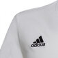 Adidas T-shirt adidas Entrada 22 Tee Jr HC0447 HC0447 цена и информация | Särgid poistele | hansapost.ee