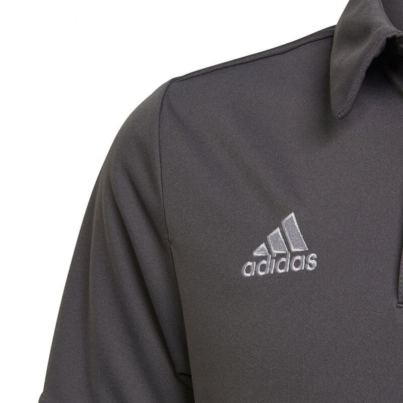 Laste Polo T-särk Adidas Entrada 22 H57485, hall hind ja info | Jalgpalli varustus ja riided | hansapost.ee