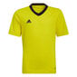 Laste T-särk Adidas Entrada 22 Jersey HI2127, kollane цена и информация | Jalgpalli varustus ja riided | hansapost.ee