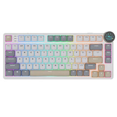 ROYAL KLUDGE N80 Pearly Dawn, Red Switch, US price and information | Keyboards | hansapost.ee