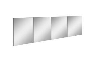 Peegel Asir Rectangular, 30x120 cm, hõbedane price and information | Mirrors | hansapost.ee