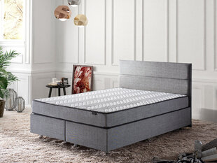 Voodi Asir Silver 140x190 cm, hall price and information | Beds | hansapost.ee