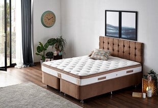 Voodi Asir Latte 180x200 cm, pruun price and information | Beds | hansapost.ee