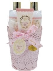 Kūno priežiūros Komplekt Aurora Shabby Chic: dušigeel 200 ml + Kehakreem 200 ml + Kätekreem 60 ml + duši svamm 1 tk price and information | Body creams, body oils and lotions | hansapost.ee