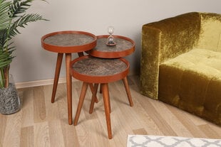 3-osaline kohvilauakomplekt Asir Linea, pruun price and information | Coffee tables | hansapost.ee