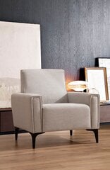 Tugitool Asir Horizon, beež price and information | Armchairs | hansapost.ee