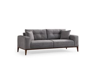 Diivanvoodi Asir Sinor, hall price and information | Sofa beds and sofas | hansapost.ee