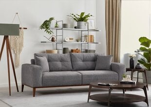 Diivanvoodi Asir Sinor, hall price and information | Sofa beds and sofas | hansapost.ee