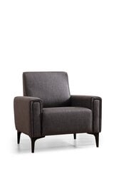 Tugitool Asir Horizon, hall price and information | Armchairs | hansapost.ee