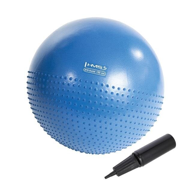 Võimlemispall HMS YB03N Gym Ball 55 cm, sinine hind ja info | Võimlemispallid | hansapost.ee