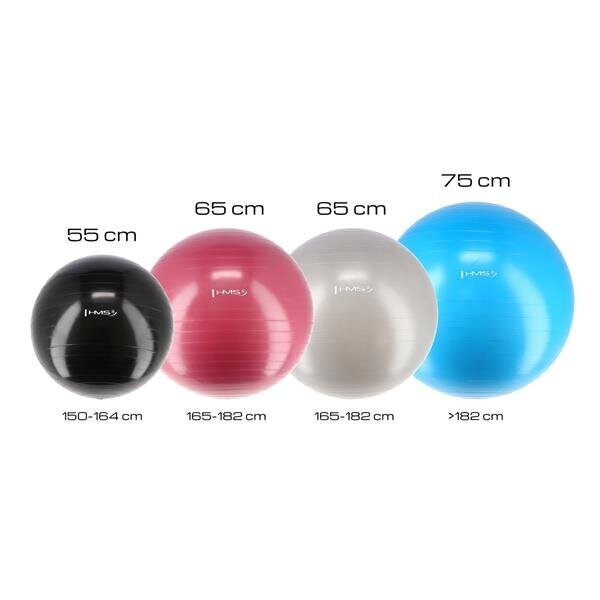 Võimlemispall HMS YB01N Gym Ball 65 cm, roosa hind ja info | Võimlemispallid | hansapost.ee