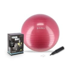 Гимнастический мяч HMS YB01N Gym Ball 65 см, розовый цена и информация | SportVida Фитнес упражнений & Реабилитации мяч 55CM диаметр с насосом Коралллого Розовый | hansapost.ee