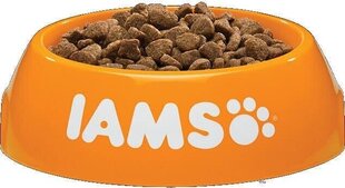 IAMS For Vitality Cat Senior с курицей, 3 кг цена и информация | Сухой корм для кошек | hansapost.ee