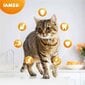 IAMS For Vitality Cat Senior kanaga, 3 kg hind ja info | Kassi kuivtoit ja kassikrõbinad | hansapost.ee