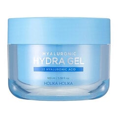 Hüaluroonhappega niisutav geel kreem Holika Holika Hydra Gel, 100 ml цена и информация | Кремы для лица | hansapost.ee