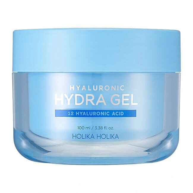 Hüaluroonhappega niisutav geel kreem Holika Holika Hydra Gel, 100 ml цена и информация | Näokreemid | hansapost.ee