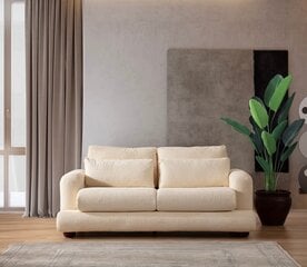 2 vietų sofa River - Beige цена и информация | Диваны | hansapost.ee