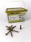 Puidukruvid välitöödeks, torx, C3, 4,5 x 50/30, 250 tk hind ja info | Kinnitusvahendid | hansapost.ee