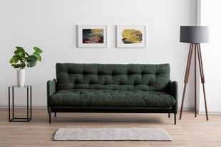 3 vietų sofa-lova Renge - Green цена и информация | Диваны | hansapost.ee