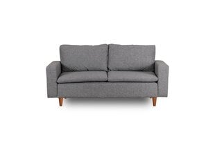 2 vietų sofa Lungo - Light Grey цена и информация | Диваны | hansapost.ee