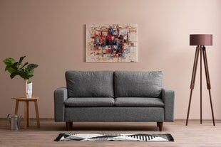 2 vietų sofa Lungo - Light Grey цена и информация | Диваны | hansapost.ee