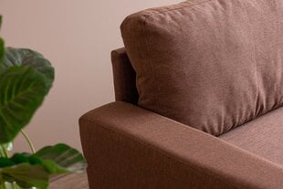 2 vietų sofa Lungo - Light Brown цена и информация | Диваны | hansapost.ee