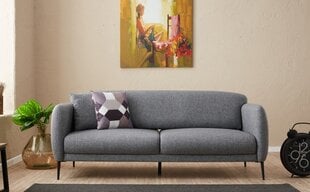 Diivanvoodi Asir Venus, hall price and information | Sofa beds and sofas | hansapost.ee