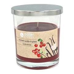 Muller свеча Berries-vanilla, 1 шт. цена и информация | Подсвечники, свечи | hansapost.ee