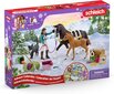 Advendikalender Schleich Horse Club цена и информация | Mänguasjad poistele | hansapost.ee