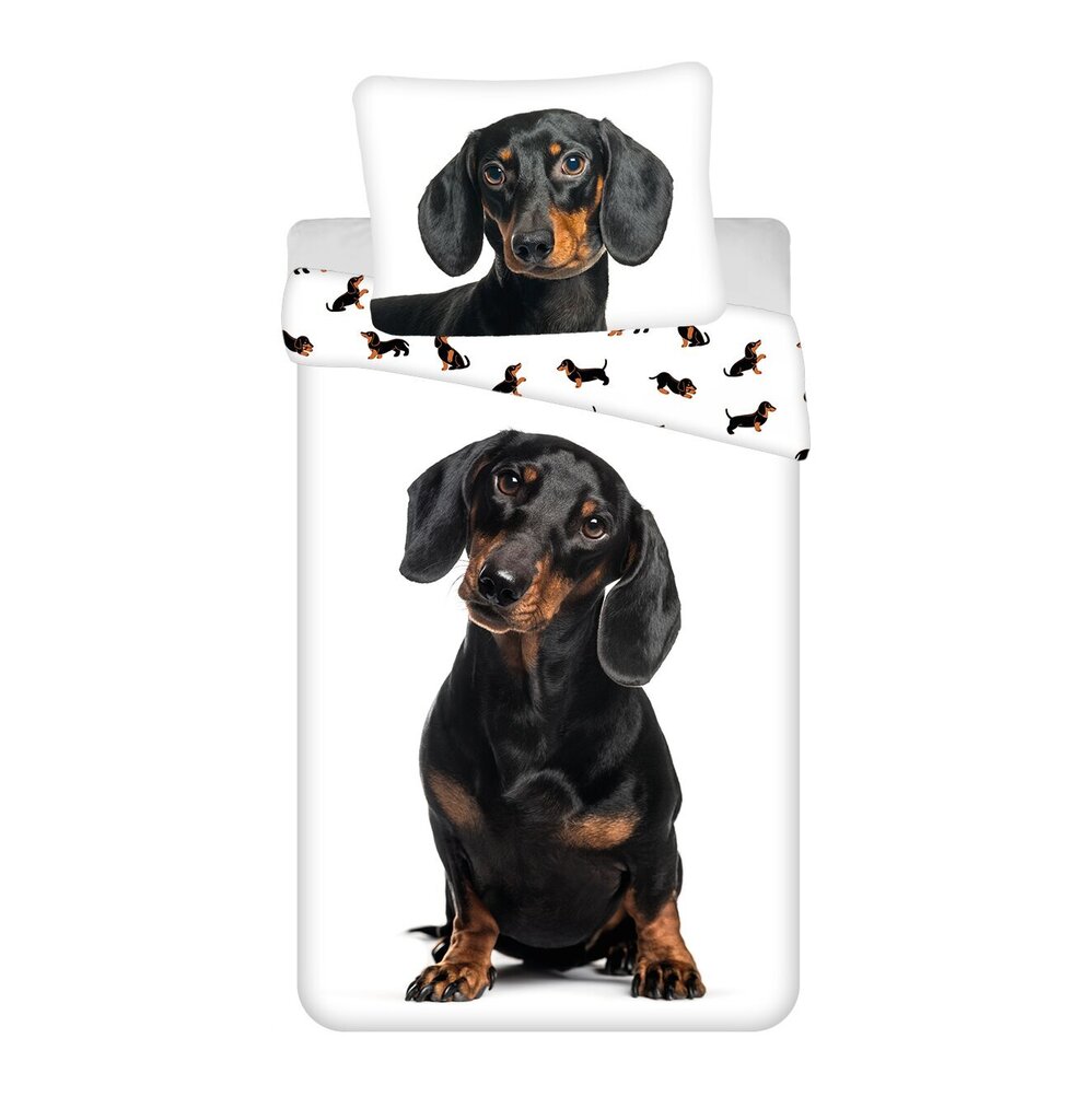 Voodipesu komplekt Dachshund, 140x200, 2-osaline hind ja info | Laste voodipesu | hansapost.ee