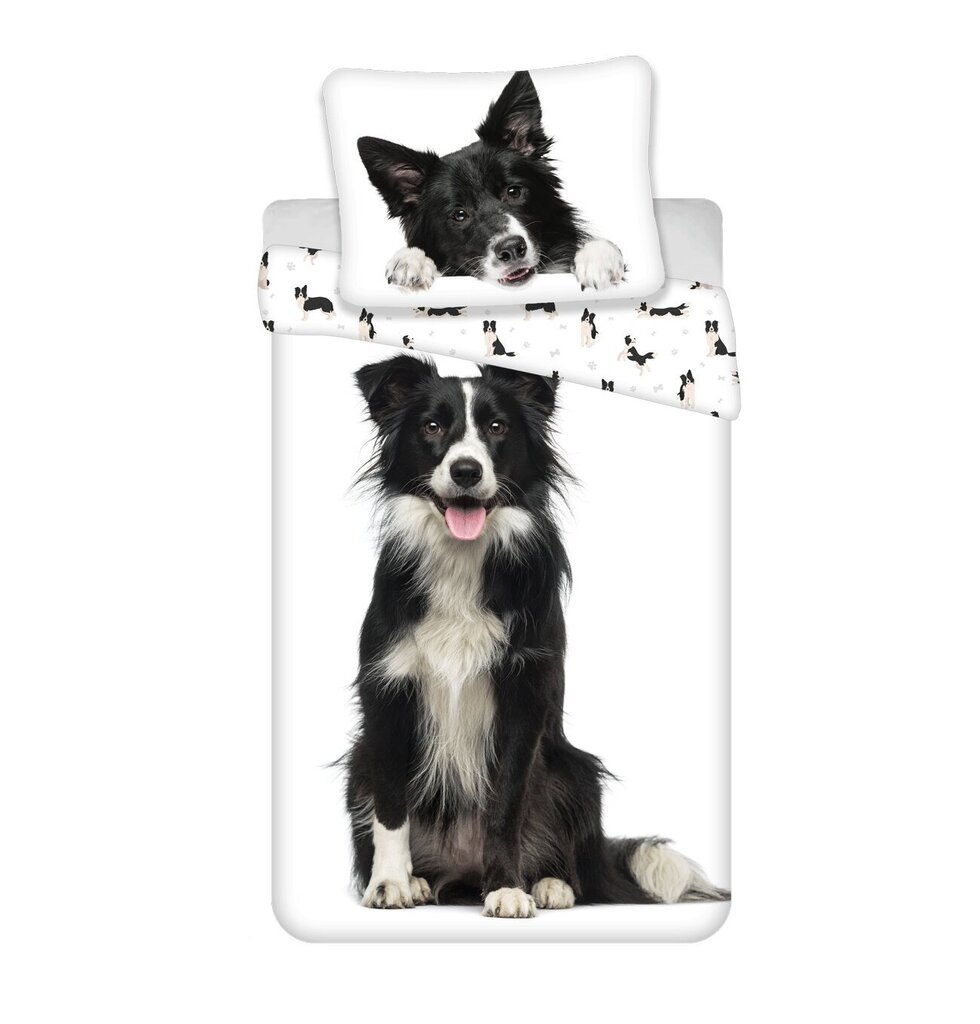 Voodipesu komplekt Border Collie, 140x200, 2-osaline hind ja info | Laste voodipesu | hansapost.ee