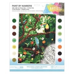 Joonis numbrite järgi värvimiseks Troopilised metsad price and information | Paint by numbers kits | hansapost.ee