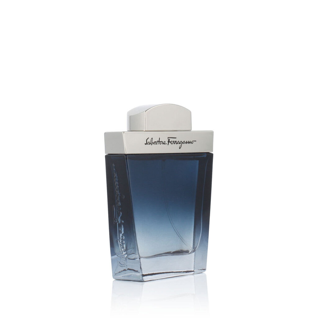 Meeste tualettvesi Salvatore Ferragamo EDT Subtil Pour Homme (30 ml) hind ja info | Parfüümid meestele | hansapost.ee