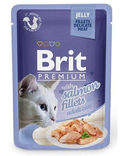 Brit Premium Cat Fillets in Jelly koos lõhega, 24x85 g price and information | Kassikonservid | hansapost.ee