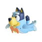 Veemängukoer Tomy Toomies Bluey E73548 hind ja info | Ranna- ja õuemänguasjad | hansapost.ee