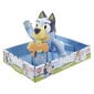 Veemängukoer Tomy Toomies Bluey E73548 hind ja info | Ranna- ja õuemänguasjad | hansapost.ee