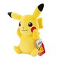 Pokémon Plush 20 cm (valitud juhuslikult) hind ja info | Fännitooted mänguritele | hansapost.ee