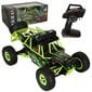 RC auto Wltoys Buggy 12427 2.4G 4WD цена и информация | Mänguasjad poistele | hansapost.ee