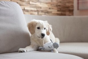 Игрушка для собак Kerbl Puppy Toy, 16 см цена и информация | Игрушки для собак | hansapost.ee