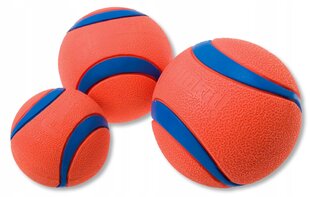 Pall Chuckit! Ultra Ball, XL, oranž/sinine hind ja info | Koerte mänguasjad | hansapost.ee