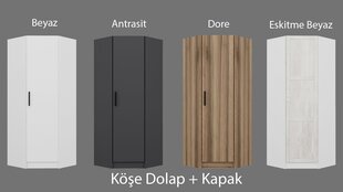 Riidekapp Asir Kale 1 White 210, valge price and information | Cupboards | hansapost.ee