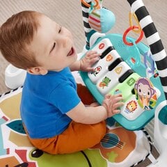 Развивающий коврик с пианино Fisher-Price цена и информация | Развивающие коврики | hansapost.ee