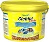 Toit tsichlididele Tetra Cichlid Sticks, 3,6 l цена и информация | Kalade toit | hansapost.ee