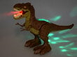 Rc dinosaurus T-Rex 2in1, pruun hind ja info | Mänguasjad poistele | hansapost.ee