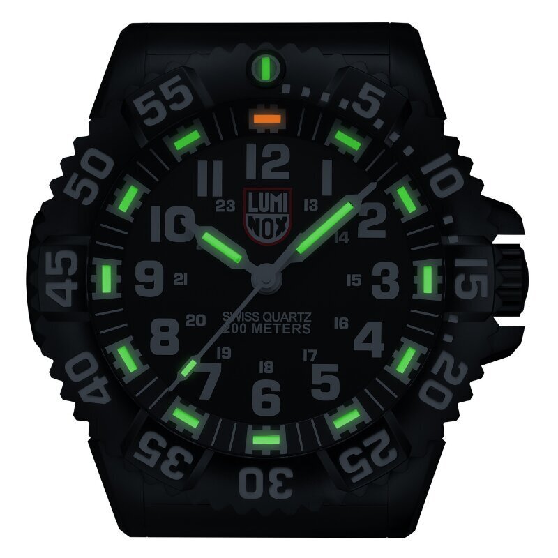 Luminox XL.BIG.40 hind ja info | Kellad | hansapost.ee