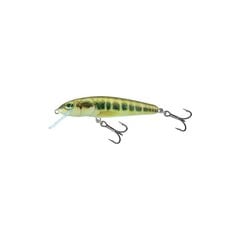 Воблер Minnow 7S 7cm/8g/1.5-2.0m MIN цена и информация | Воблеры, приманки, блесны | hansapost.ee