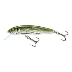 Воблер Minnow 7F 7cm/6g/1.0-1.5m OLB цена и информация | Воблеры, приманки, блесны | hansapost.ee