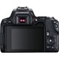 Canon EOS 250D Body (Black) - Demonstracinis (expo) цена и информация | Fotoaparaadid | hansapost.ee