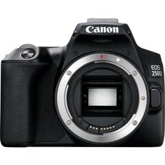 Canon EOS 250D Body (Black) - демонстрационный (expo) цена и информация | Фотоаппараты | hansapost.ee