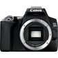 Canon EOS 250D Body (Black) - Demonstracinis (expo) цена и информация | Fotoaparaadid | hansapost.ee